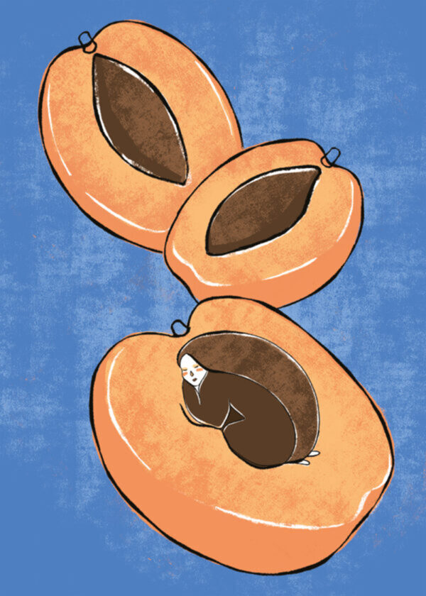 albicoccola-illustrazione-albicocca-personal-project