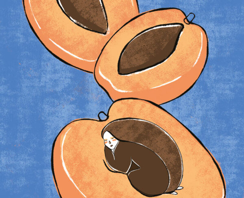 albicoccola-illustrazione-albicocca-personal-project